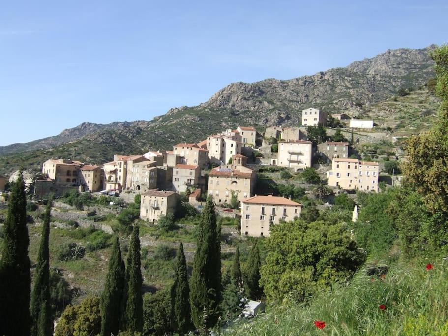 Vos vacances à Lama  Esterno foto