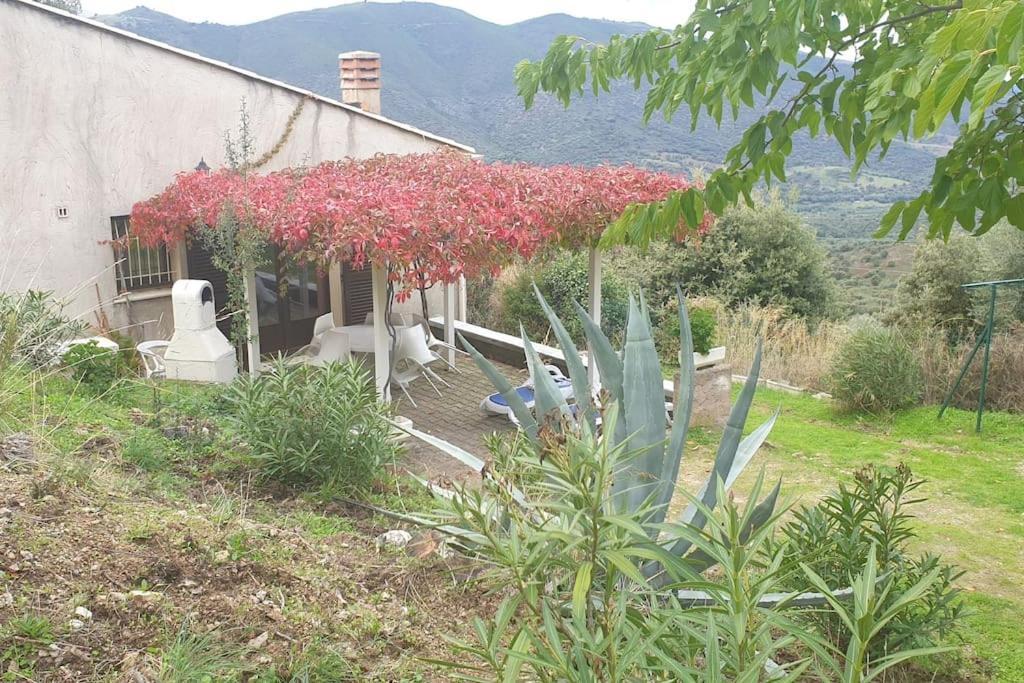 Vos vacances à Lama  Esterno foto