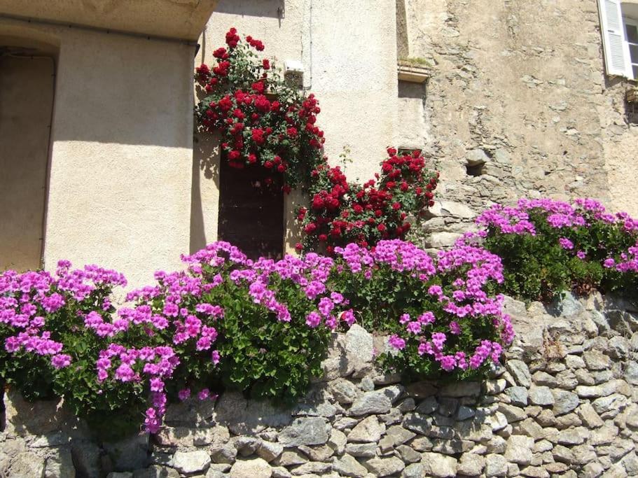 Vos vacances à Lama  Esterno foto